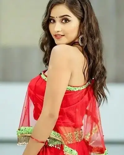 Escort In Krishnarajpet